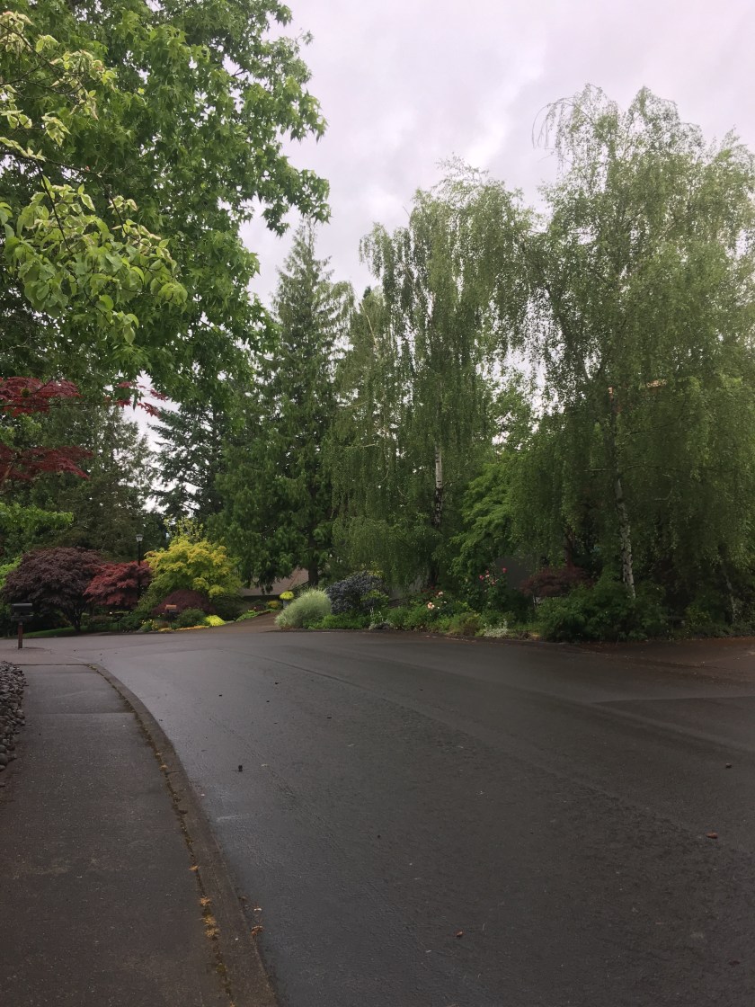 File Jun 08, 7 55 43 PM